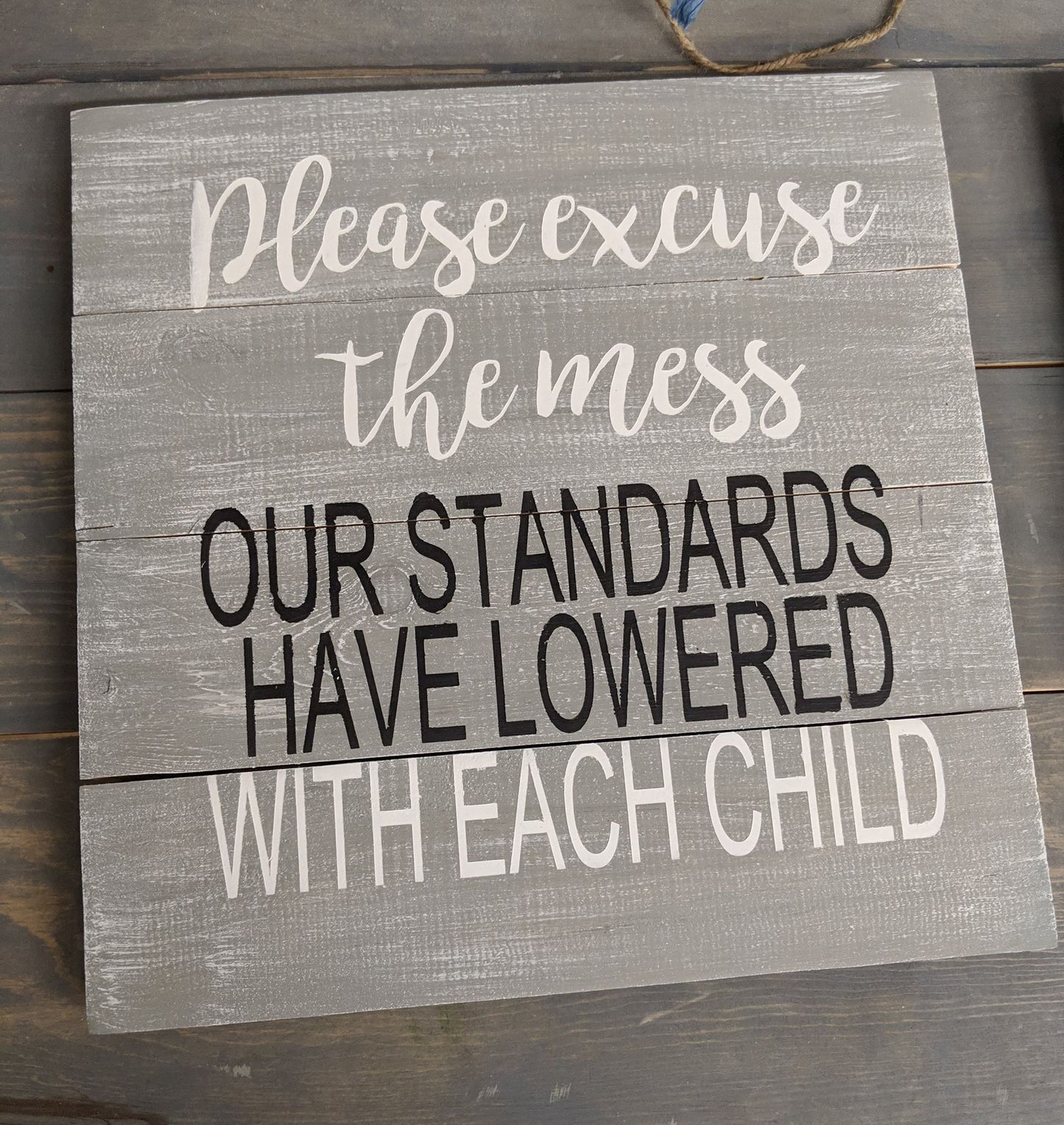 please excuse the mess our standards have lowered with each child