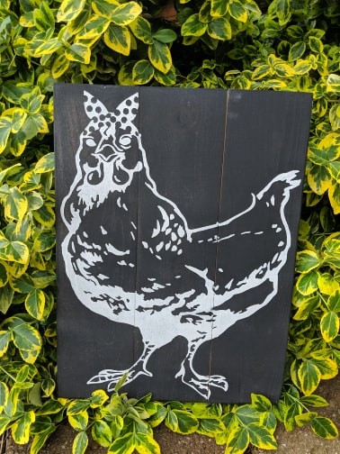 Chicken with bow