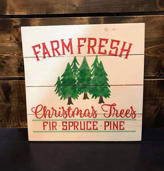 Fresh cut Christmas trees Fir Spruce Pine