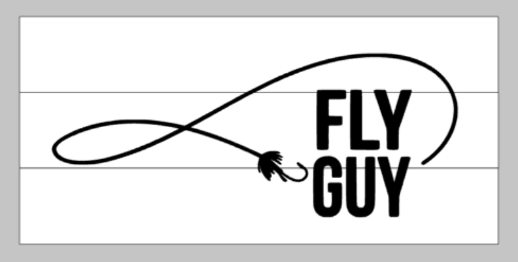 Fly guy