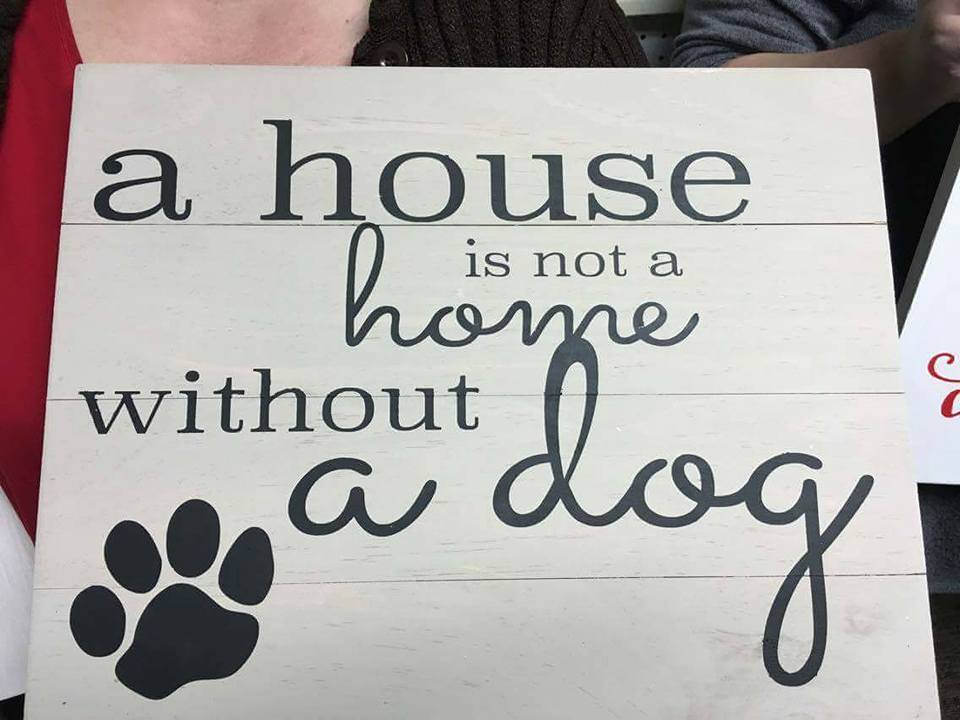 A house is not a home without a dog