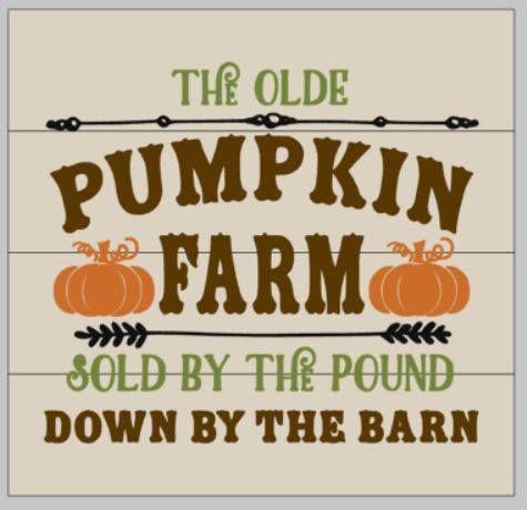 Pumpkin farm sold by the pound